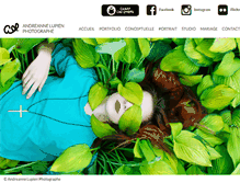 Tablet Screenshot of andreannelupien.com